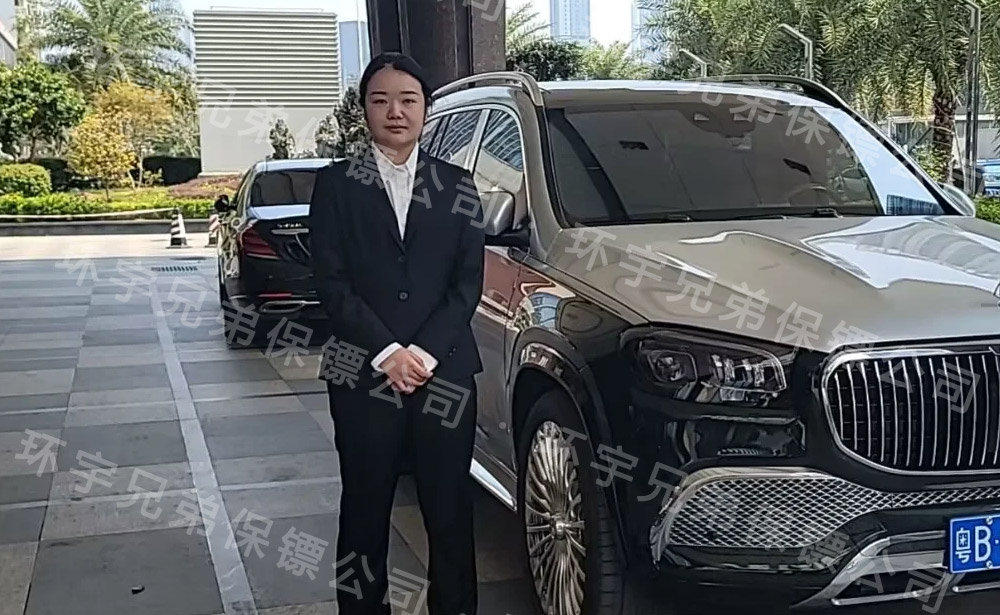 家庭保鏢服務(wù)